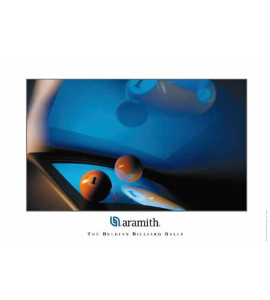 Poster Aramith Video 1-Ball